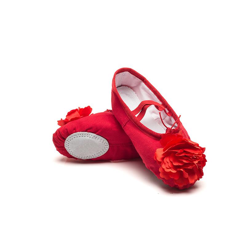 Adult Children's Dance Shoes Men's and Women's Ballet Soft Sole Practice Shoes Form Class Yoga Shoes Flower Cat Claw Dancing Shoes