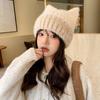 Cute Cat Ears Wool Hat Women's Autumn and Winter New Thick Warmth Outdoor Cold Proof Versatile Knitted Hat