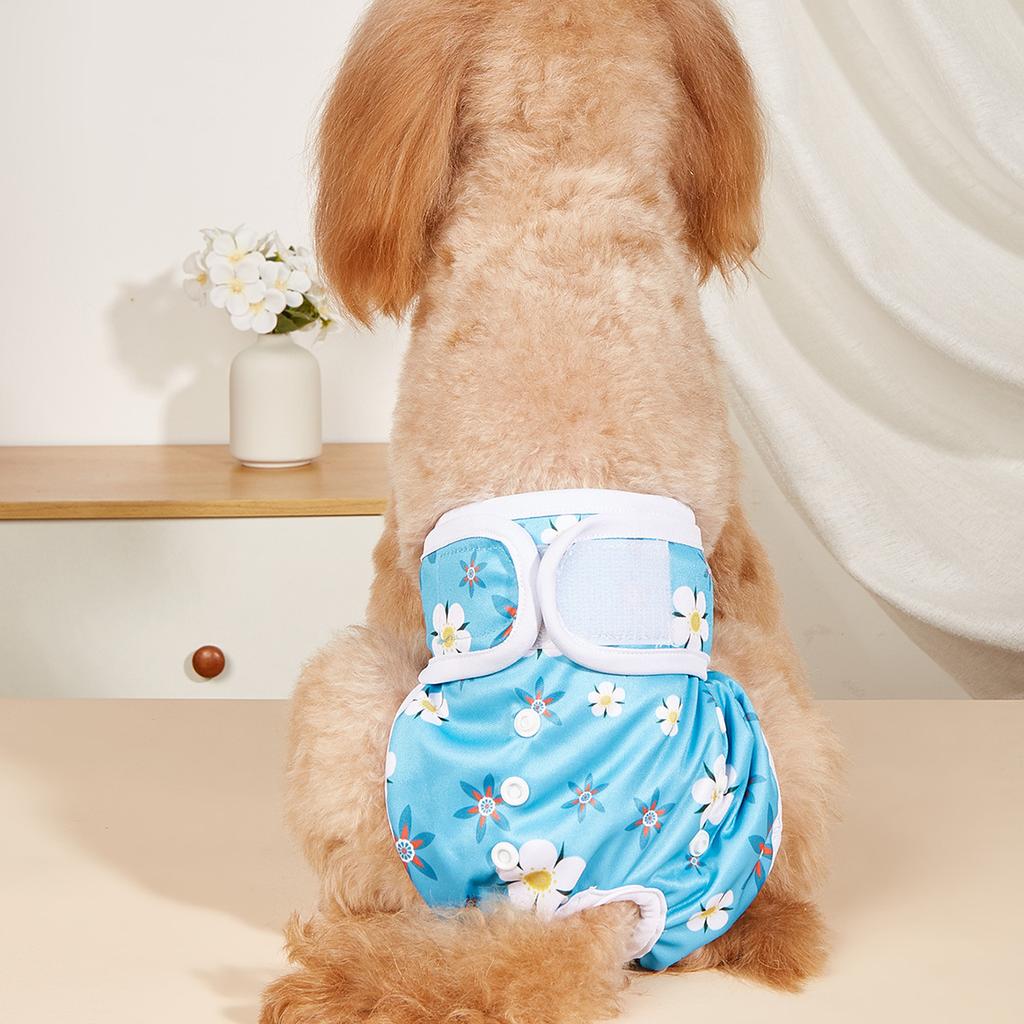 Новые обновленные подгузники для собак с пряжкой, менструальные штаны, физиологические штаны против домогательств, подгузники для домашних животных, принадлежности для собак