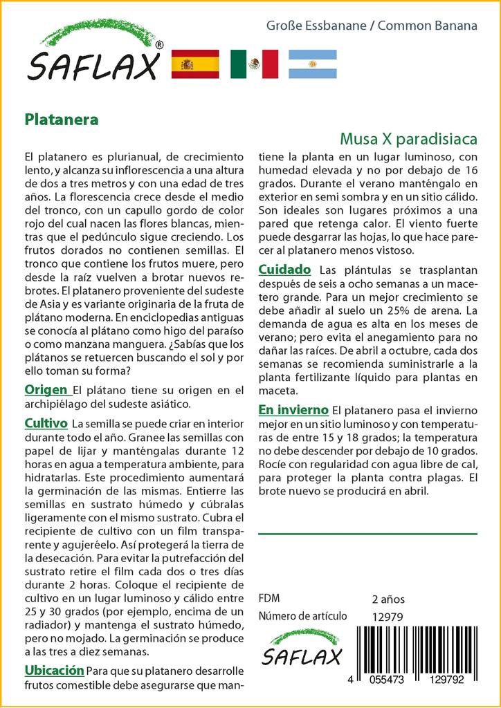 SAFLAX Банан обыкновенный - 10 семян - Musa X paradisiaca