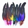 50Pcs/Lot Colorful Rooster Feathers for Crafts Carnival Accessories Sewing Trimmings Plumes Pheasant Decoration Deco Artificial