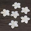 5Pcs Natural White Shell Plumeria Flower Pendant 20x20mm Mother of Pearl Floral Charm for DIY Necklace Earring Jewelry Making