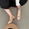 Fashion Thick Heel Mary Jane Single Shoes Women's New Spring French Mid Heel Evening Black Square Head Small Leather Shoes