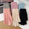 Thickened Knitted Autumn Winter Gloves Touchscreen Compatible Riding Warmth Insulation Pure Color Cute Gloves Unisex