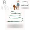Dog Lead With Retractable Feature And Comfort Grip For Daily Outings And Play