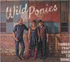 CD WILD PONIES - Вещи, которые раньше сияли ORCD5001 Continental Ros 2014 Япония Кантри Б/У