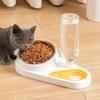 Pet Feeder 2 In 1 Dog Cat Food Bowl And Water Dispenser Detachable Tilted Cat Food Basin With Gravity Water Bottle For Indoor Cats
