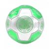 Celtic FC Signature 26 Panel Football