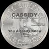 12-дюймовая пластинка CASSIDY FT. BEANIE SIGEL & FABOLOUS - You Already Know FULS001 Полная поверхность Re 2007 США Рэп & Хип-хоп/R&B Б/У
