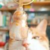 Cat Keychain Pendant Backpack Ginger Cat Siamese Calico Cathair Storage Box Hanging Cat Bag Hanging Pet Hair Grooming Souvenirs