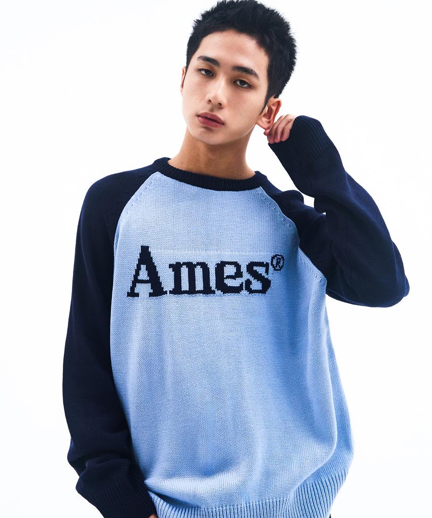 AMES-WORLDWIDE Basic Raglan Pullover Knit Blue