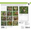 Carousel Calendars, Sloths WWF 2026 Wall Calendar, 12.01'' X 14.09'', 16-Month Calendar with Stapled Binding