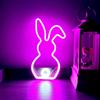 Bicolor Bunny Neon Sign USB Battery Powered Easter Bunny Sign Bunny Neon Light  Wedding Party