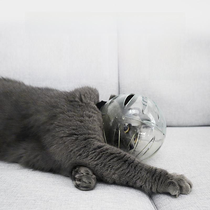 Дышащий прозрачный чехол для головы кошки: Щит против облизывания и укусов