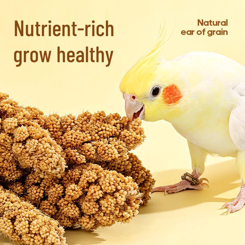 Parrot and Cockatiel Treats: Tiger Skin Grain Ears, Bird and Hamster Snacks, Training Rewards