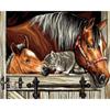 Round Horse Painting Full Diamond Diamond Embroidery Animals Picture 5d Diy Mosaic Rhinestone Home Decoration