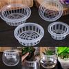 2Pcs Hot Sell Aquarium Tray Plant Culture Blue Plants Growth Plastic Mesh Net Cloning