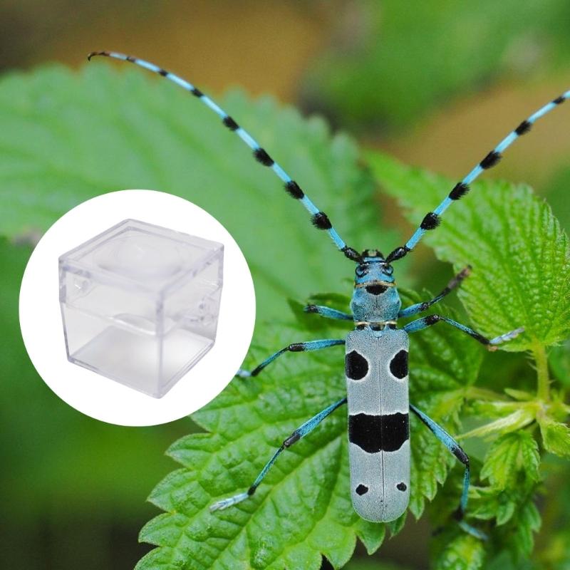 6 шт. Прозрачные коробки-лупы для насекомых для детей, для изучения природы, квадратный дизайн со смотровой линзой, школьные принадлежности для кабинета естествознания
