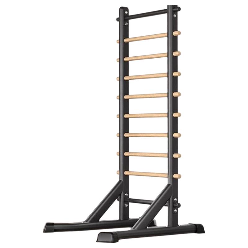Freestanding Pull-up & Dip Station