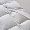 Muji Stain-Resistant Removable Goose Down Quilt