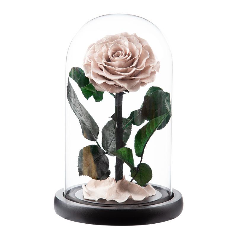 Eternal Flower Rose Finished Glass Cover Gift Box Little Prince Mother's Day Gift Eternal Flower