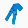 Puma TEAMFINAL Unisex Football Socks Blue 70574602 Size 39-42
