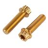Decorative Screws GR5 Titanium Alloy Titanium Alloy Screws M8 20/25/30mm Fancy Screws Fancy Flange Screws