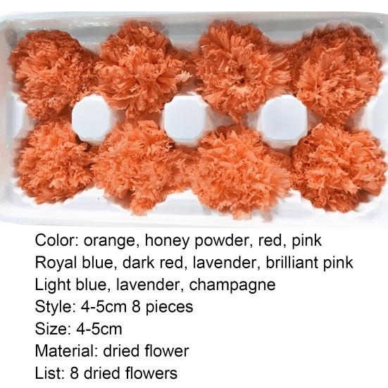 8Pcs Preserved Flower Head Carnation Decorative Dried Flower Mothers Day Gift Box Flower for Mother