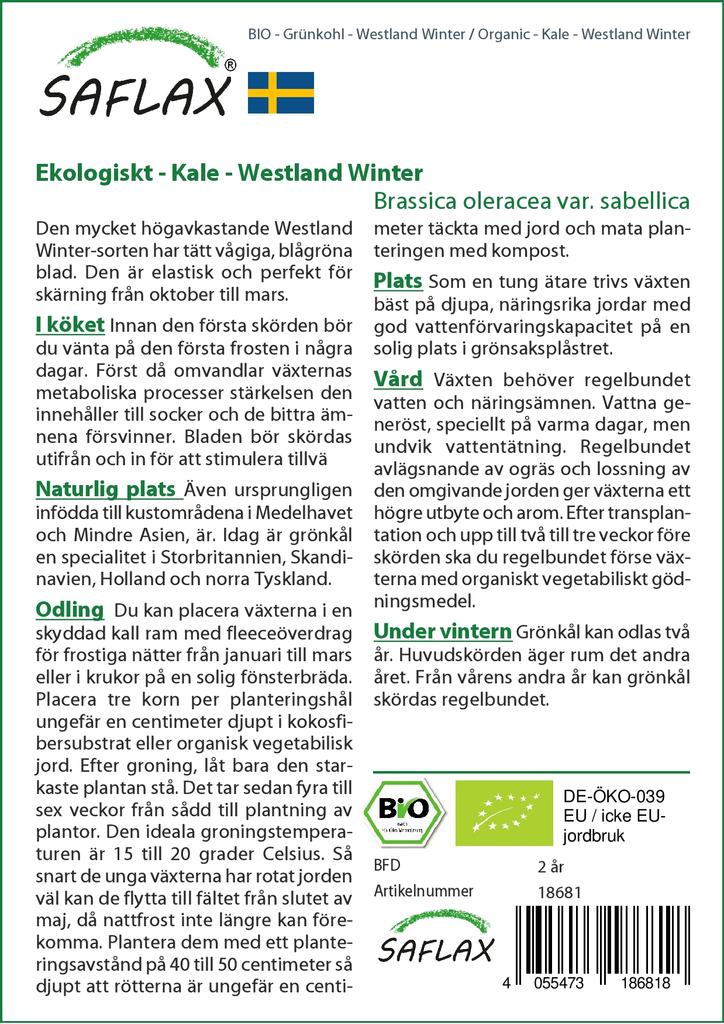 SAFLAX Organic - Капуста - Westland Winter - 70 семян - Brassica oleracea