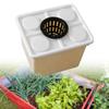 with Siphon Bends, Vegetable Planter, Flower Pot 30x25x23cm, Versatile Use for Garden Centers
