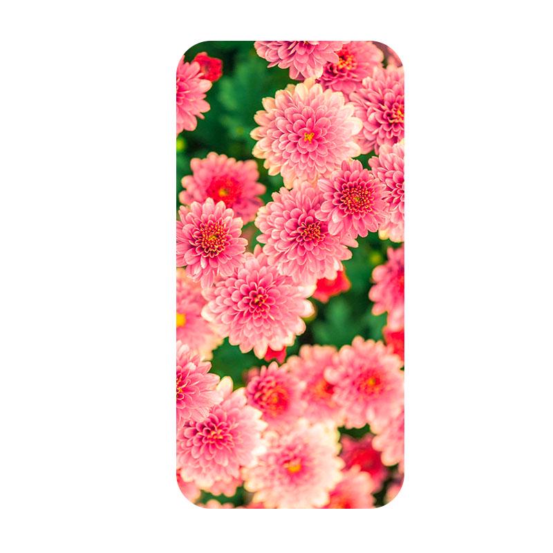 Окрашенные мягкие чехлы Okatech для SONY Xperia X Dual F5122 F5121 5,0 дюйма, силиконовый чехол из ТПУ