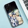 Аниме Доктор. S-STONE Чехол для телефона Силиконовый Мягкий Для IPhone 17 16 15 14 13 12 11 X XR Plus Pro Max Plus