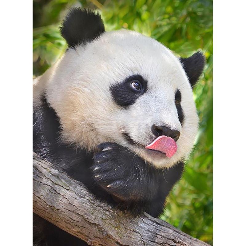 DIY Панда 5D алмазная живопись полная круглая дрель животное Алмазная вышивка крестиком мозаичные наборы настенное искусство домашний декор подарок