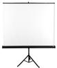 AVTEK Tripod Stand 175 Screen On Tripod