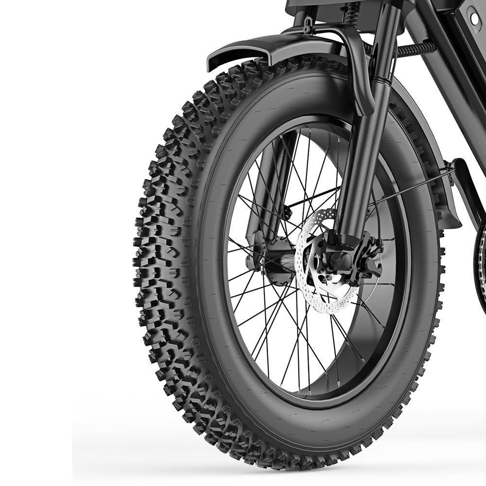 HEADEER BK20 Adult E-Bike 48V20AH Battery 750W Motor Electric Bicycle 150KG Load 80KM Range 20 Inch Fat Tires Off-Road E-Mountain Bike