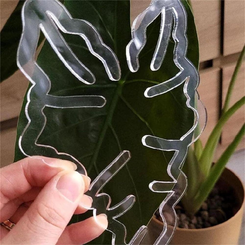 Clear Plant Stem Support Holder Plastic Plant Stem Support for Flower Lovers