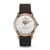 Emporio Armani Classic Brown Watch ARS3301