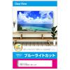 Media Cover Market Panasonic VIERA LCD TV Protection Panel Blue Light Cut Protective Film Compatible Product TH-49GX755 49-inch 49-inch 49-inch