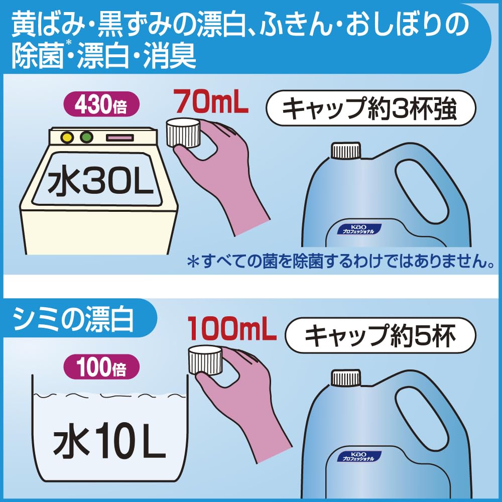 KAO Haiter 5kg Clothes Chlorine E, (Professional Series) [Commercial-Grade Bleach]