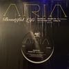 12-дюймовая пластинка ARIA - Beautiful Life LAV001 Rhythm Zone 2005 Япония Рэп и хип-хоп/R&B Б/У