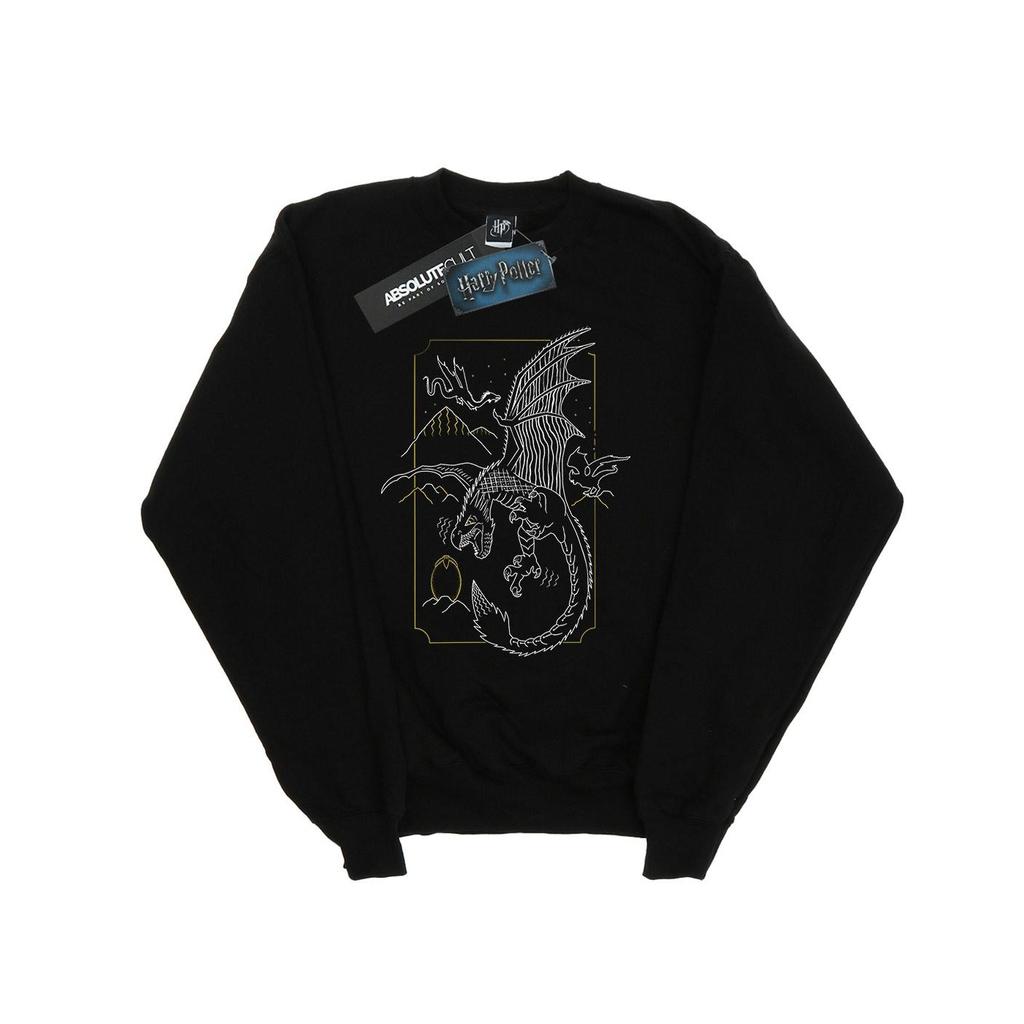 Harry Potter Mens Dragon Line Art Sweatshirt