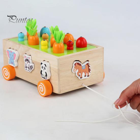 Монтессори деревянная ферма головоломка игрушка для детей 1 2 3 лет красочная морковка урожай игра с червяками рыб магнитная ловля занятие образовательное обучение