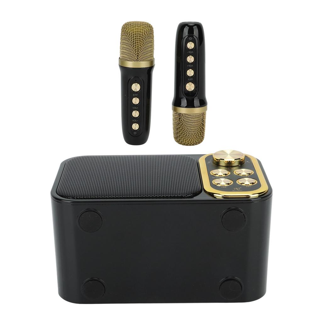 Караоке-машина с 2 микрофонами, караоке-машина «все в одном», портативная Bluetooth-машина для пения