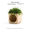 Aquatic Plant Moss Hideaway: Real Plant Jar for Fish & Shrimp