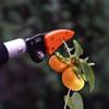 Горячая распродажа 1 м Съемник фруктов Сверхдлинные секаторы для сбора фруктов Обрезка и удержание Садовые ножницы для обрезки Максимальная резка Сборщик винограда и хурмы