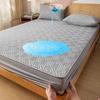 Waterproof Mattress Protector Cotton Padded Thickening Elastic Fitted Sheet Breathable Non-Slip Mattress Cover Machine Washable