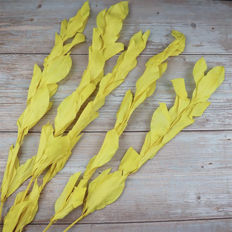 DIY Floral Art Ornament: Preserved Tangerine & Fishtail Leaf, Lily, Bamboo Dried Flowers – Ikebana Photo Prop for Home Décor.