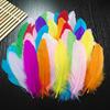 50Pcs/Set Colorful Natural Feathers Kids Adults DIY Feather Crafts Dream Catcher Centerpieces Home
