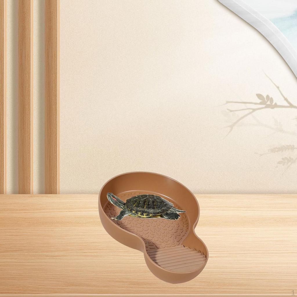 Aquatic Habitat Water Bowl for Turtles And