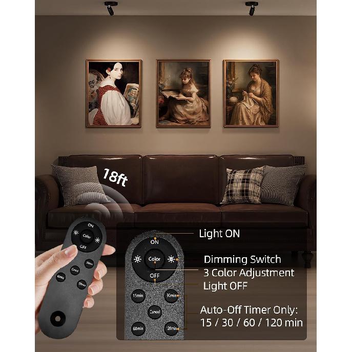 EZVALO Indoor Spotlights, Picture Lights for Wall, Uplights | 5500mAh Rechargeable Battery, with Remote, Mini, Wireless, Magnetic, Timer, 3 Color